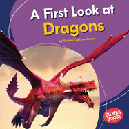 A First Look at Dragons