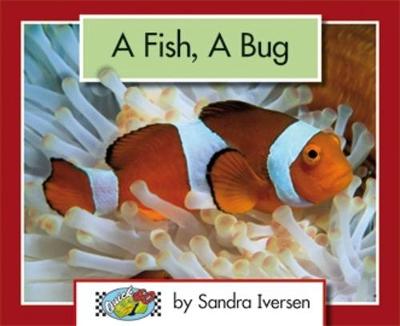 A Fish, A Bug - Iversen, Sandra