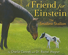 A Friend for Einstein, the Smallest Stallion