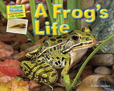 A Frog's Life