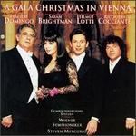 A Gala Christmas in Vienna