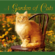 A Garden of Cats