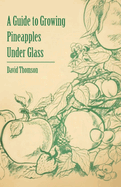 A Guide to Growing Pineapples Under Glass