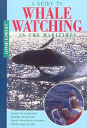 A Guide to Whale Watching in the Maritimes