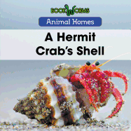 A Hermit Crab's Shell
