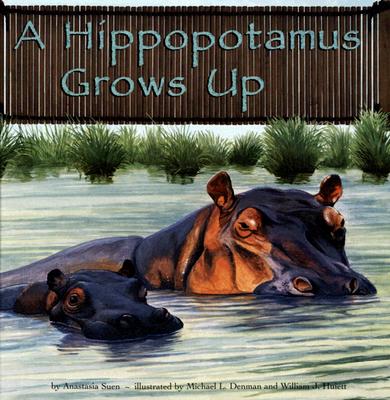 A Hippopotamus Grows Up - Suen, Anastasia