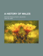A History of Wales; Derived from Authentic Sources