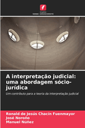 A interpreta??o judicial: uma abordagem s?cio-jur?dica