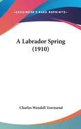 A Labrador Spring (1910)