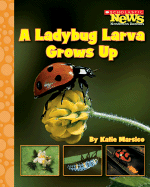 A Ladybug Larva Grows Up - Marsico, Katie