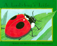 A Ladybug's Life - 