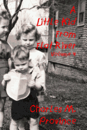 A Little Kid From Flat River; Volume Four: Volume Four in the Little Kid From Flat River Series