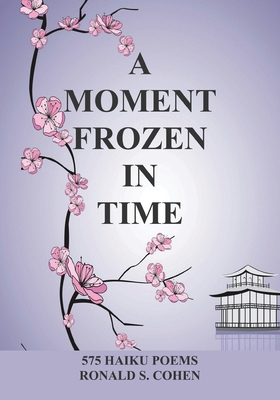 A Moment Frozen in Time - Cohen, Ronald S