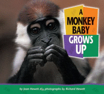 A Monkey Baby Grows Up - Hewett, Joan