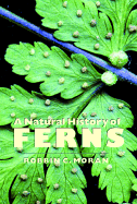 A Natural History of Ferns - Moran, Robbin Craig