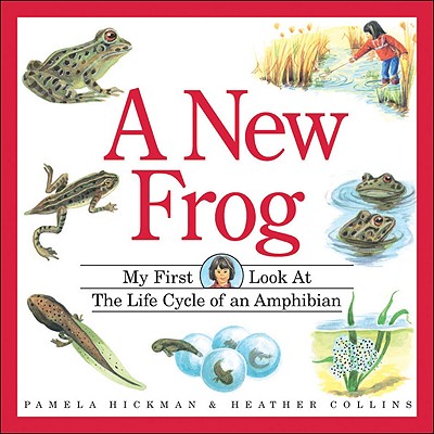 A New Frog - Hickman, Pamela