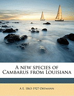 A New Species of Cambarus from Louisiana
