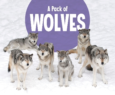 A Pack of Wolves - Rustad, Martha E. H.