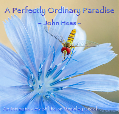A Perfectly Ordinary Paradise: An Intimate View of Life on Brawley Creek - Hess, John