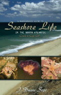 A Photographic Guide to Seashore Life in the North Atlantic: Canada to Cape Cod