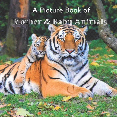 A Picture Book of Mother & Baby Animals: A Beautiful Picture Book for Seniors With Alzheimer's or Dementia. A Great Gift for Elderly Parents and Grandparents! - A Bee's Life Press