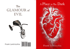 A Place in the Dark/ The Glamour of Evil: Volume 27