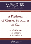 A Plethora of Cluster Structures on $GL_n$