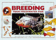 A Practical Guide to Breeding Your Freshwater Fish - Lambert, Derek