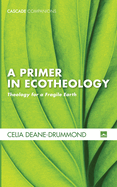 A Primer in Ecotheology: Theology for a Fragile Earth