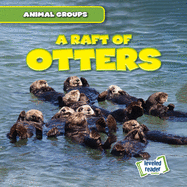 A Raft of Otters