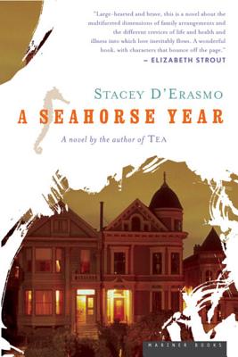 A Seahorse Year - D'Erasmo, Stacey