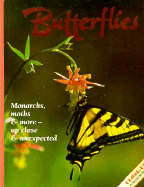 A Shimmer of Butterflies