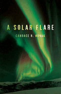 A Solar Flare