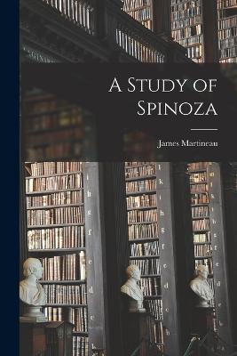 A Study of Spinoza - Martineau, James