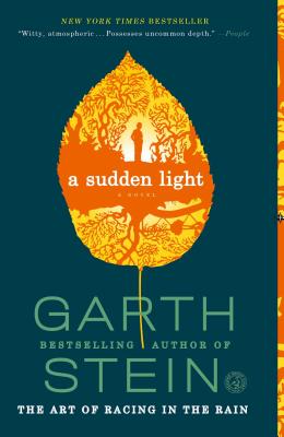A Sudden Light - Stein, Garth