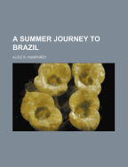 A Summer Journey to Brazil