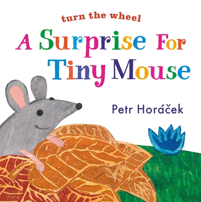 A Surprise for Tiny Mouse - 