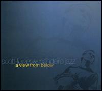 A View From Below - Scott Feiner & Pandeiro Jazz