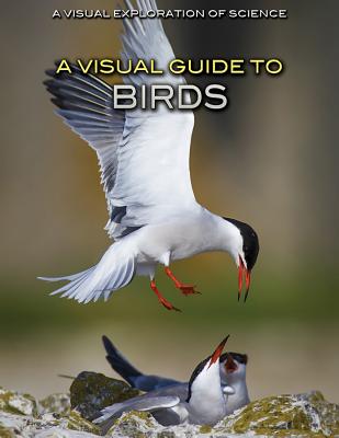 A Visual Guide to Birds - Editorial Staff