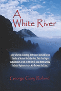 A White River