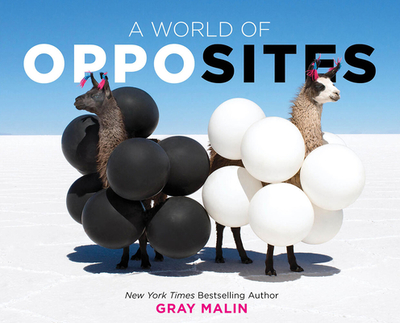 A World of Opposites - Malin, Gray