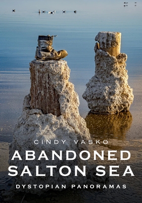 Abandoned Salton Sea: Dystopian Panoramas - Vasko, Cindy