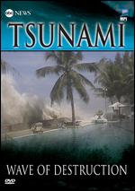 ABC News: Tsunami - Wave of Destruction - 