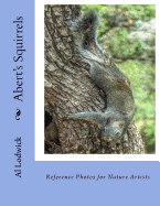 Abert's Squirrels: Reference Photos for Nature Artists