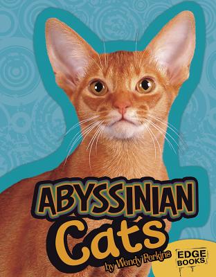 Abyssinian Cats - Mattern, Joanne