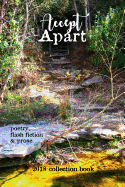 Accept Apart: 2018 Scars Publications Collection Book