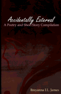 Accidentally External: A Poetry and Short Story Compilation