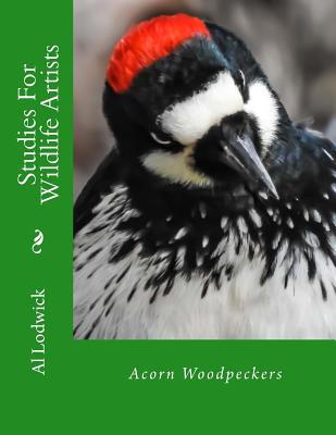 Acorn Woodpeckers: Studies For Wildlife Artists - Lodwick, Al