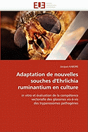 Adaptation de Nouvelles Souches d''ehrlichia Ruminantium En Culture
