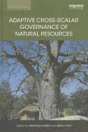 Adaptive Cross-scalar Governance of Natural Resources